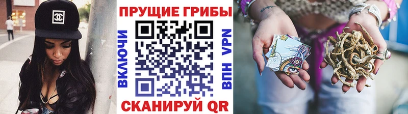 Галлюциногенные грибы Cubensis  Великий Новгород 