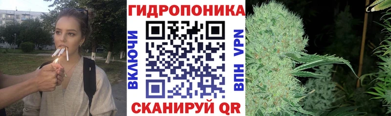 купить наркотик  omg как зайти  Канабис семена  Великий Новгород 
